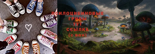 прущие крисы Краснослободск