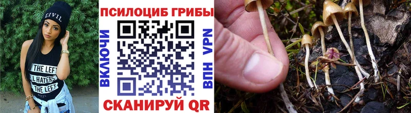 Галлюциногенные грибы ЛСД  Купить  Саки 